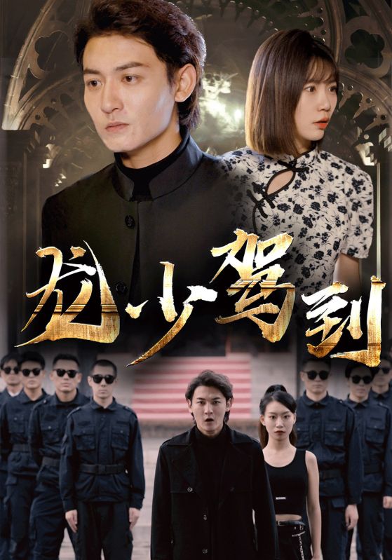 龙少驾到封面图