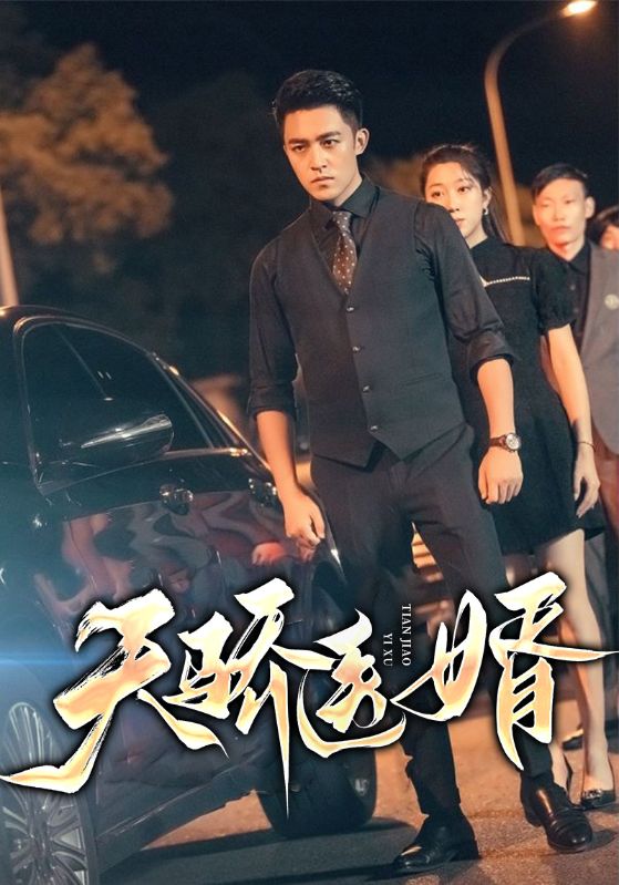 天骄医婿封面图