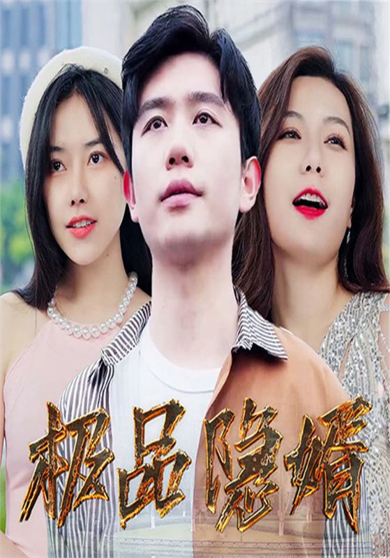 极品隐婿封面图