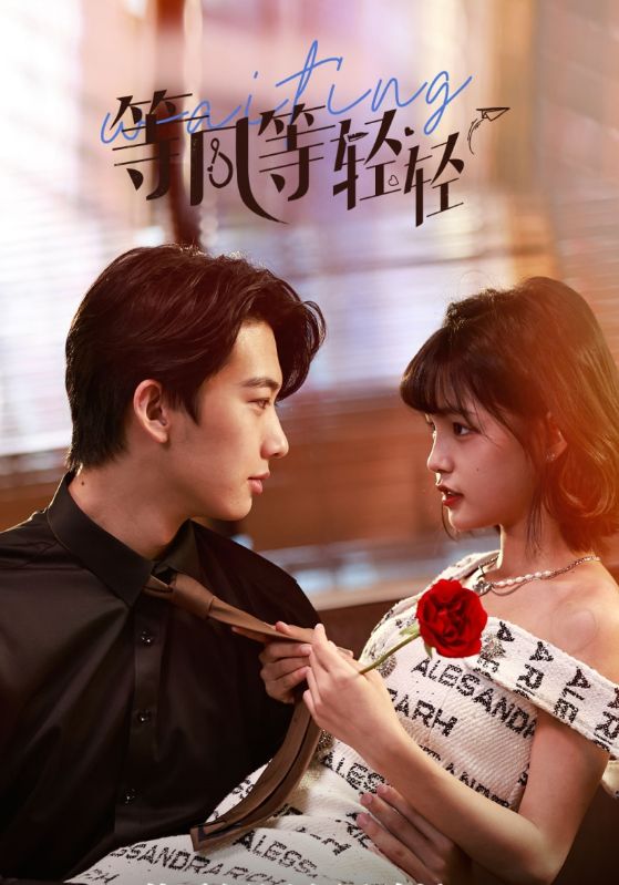 等风等轻轻封面图