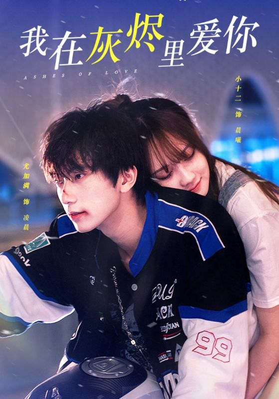 我在灰烬里爱你封面图