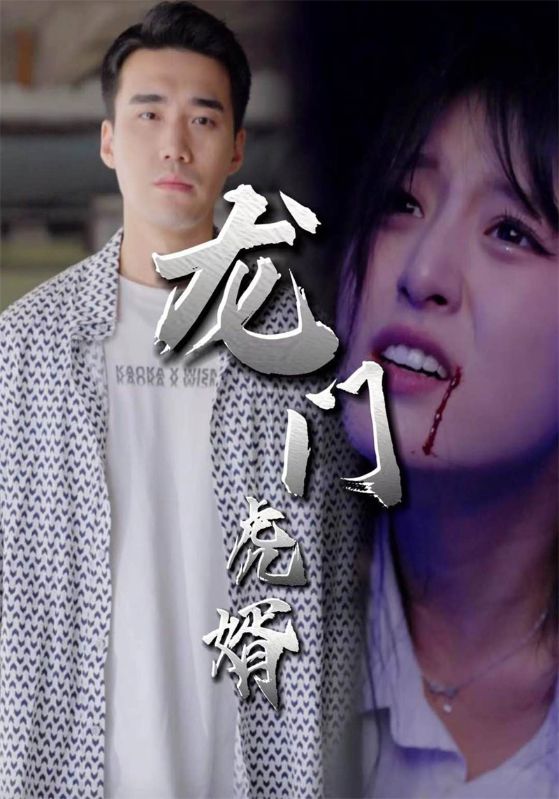 龙门虎婿封面图