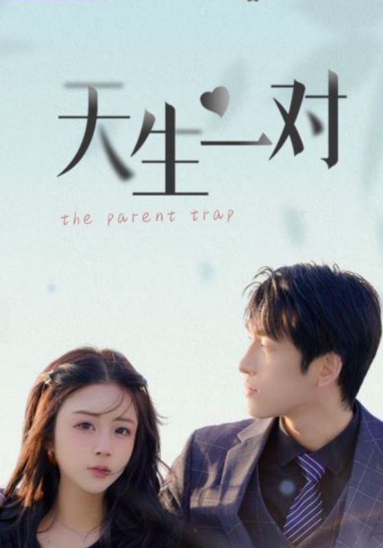 天生一对封面图