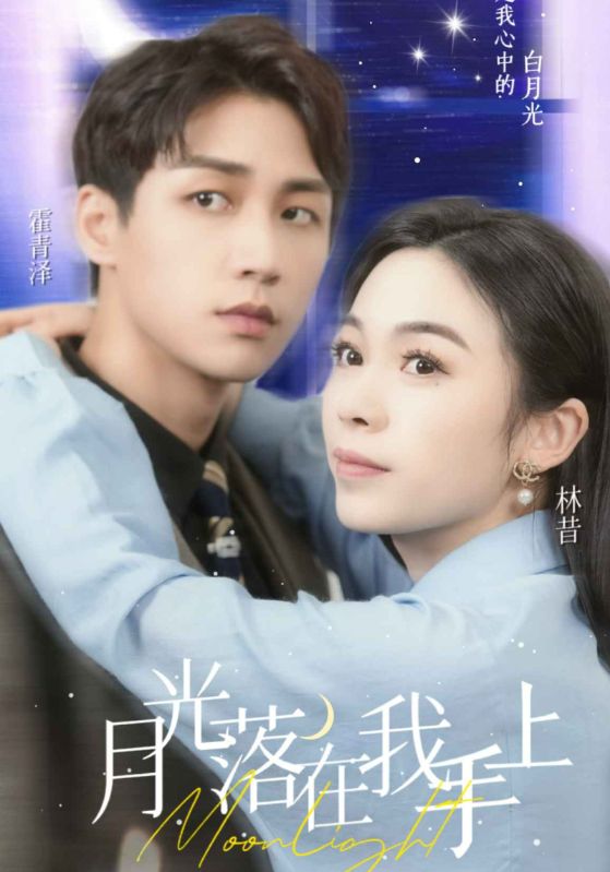 月光落在我手上封面图