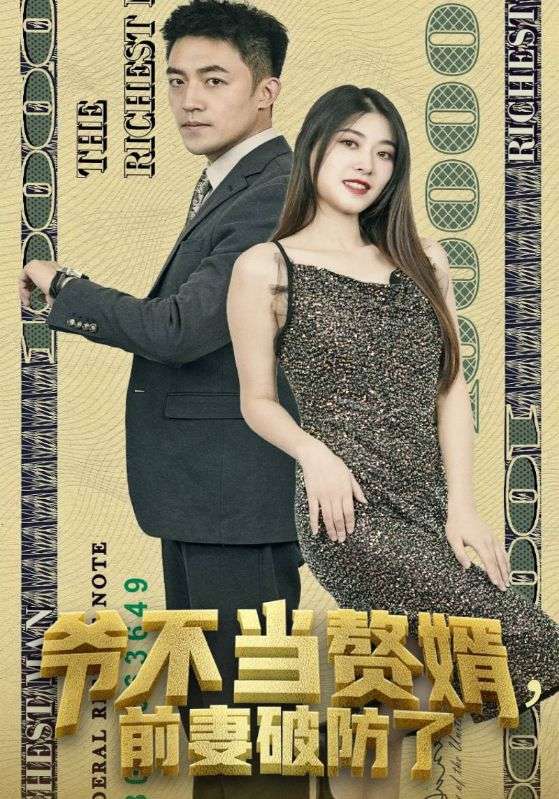 爷不当赘婿，前妻破防了封面图