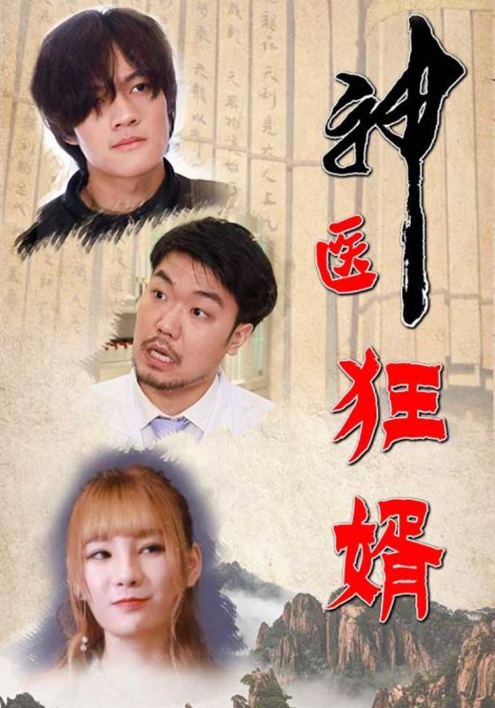神医狂婿封面图