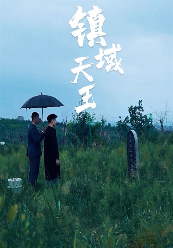 镇域天王封面图