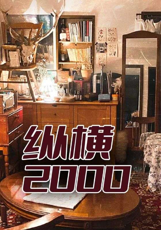 纵横2000封面图