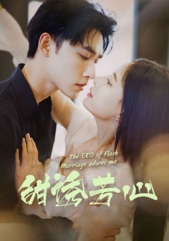 闪婚后，我被总裁老公宠上天封面图