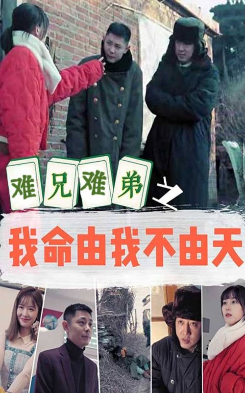 难兄难弟之我命由我不由天封面图