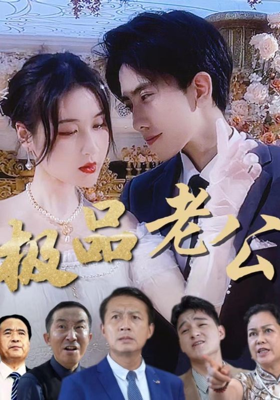 极品王婿封面图