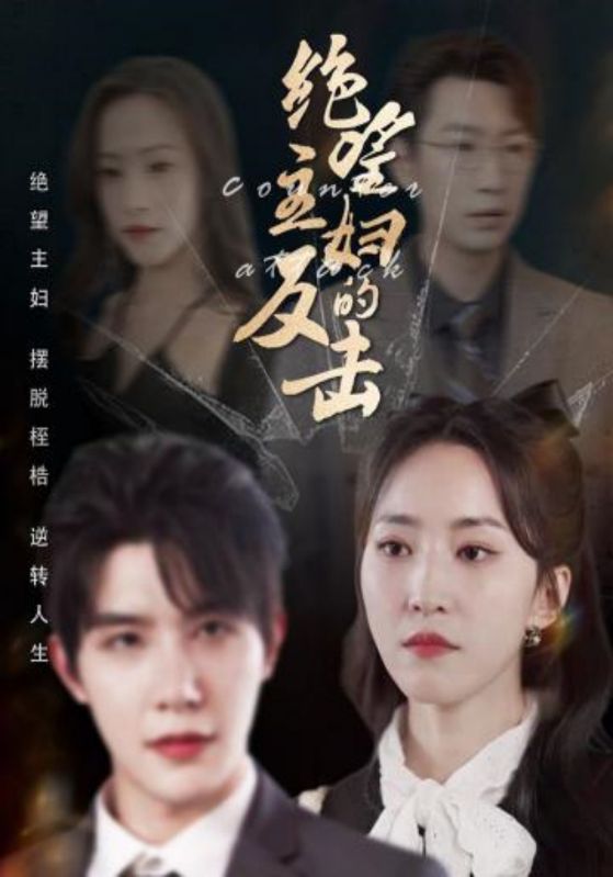 绝望主妇的反击封面图