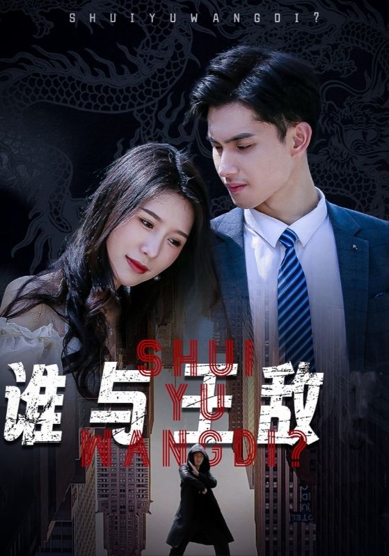 谁与王敌封面图