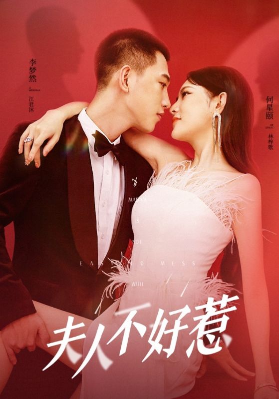 夫人不好惹封面图