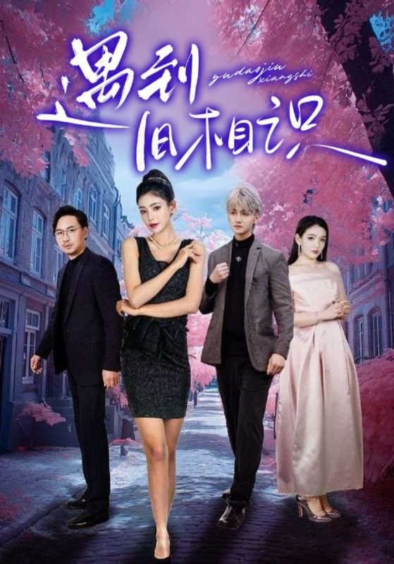 闪婚租个男友回家过年封面图