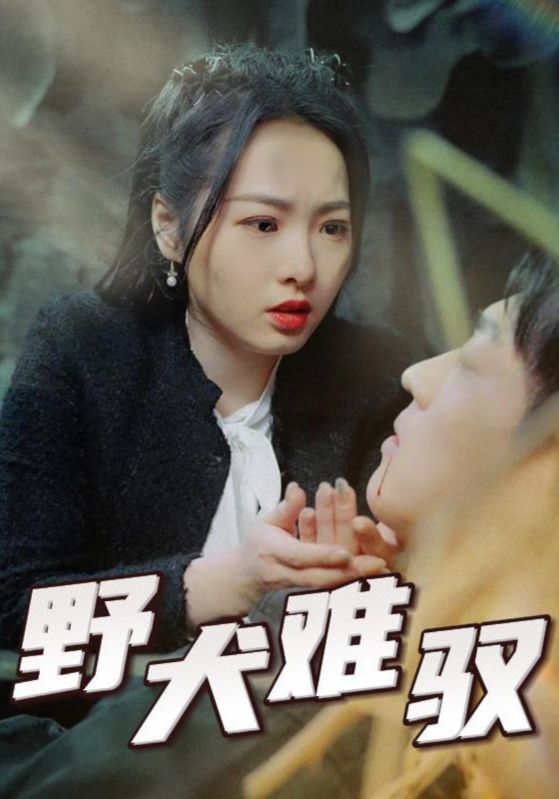 霍爷哑妻是神医封面图