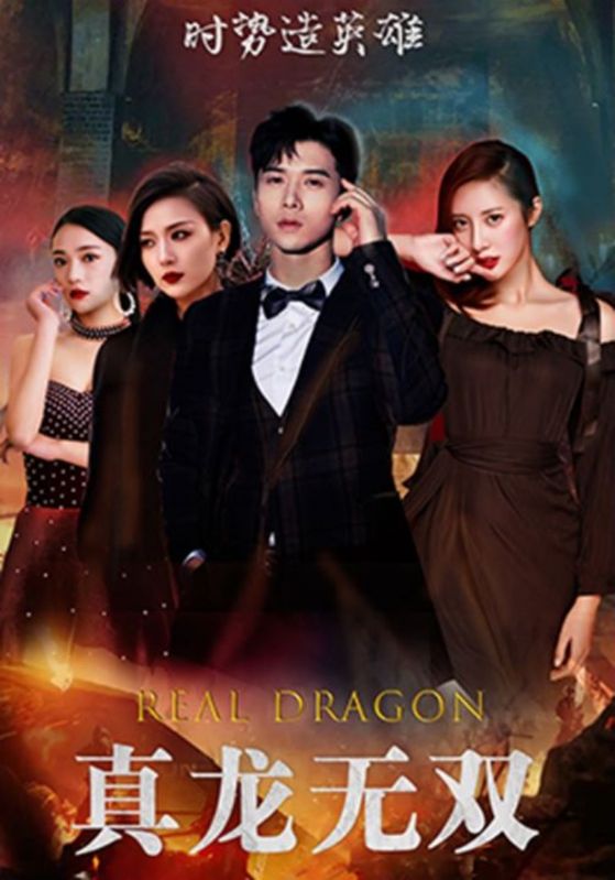 真龙无双封面图