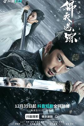 锦衣迷踪封面图