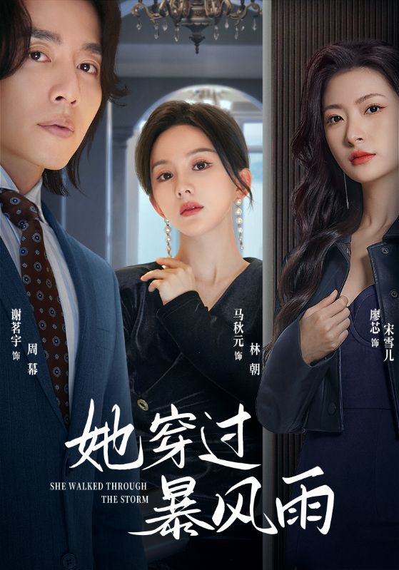 她穿过暴风雨封面图