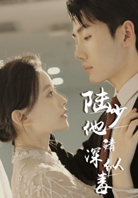 陆少他情深似毒封面图