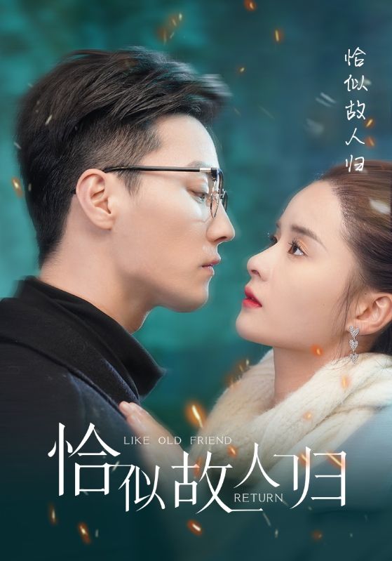 恰似故人归封面图