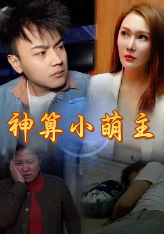 神算赘婿封面图