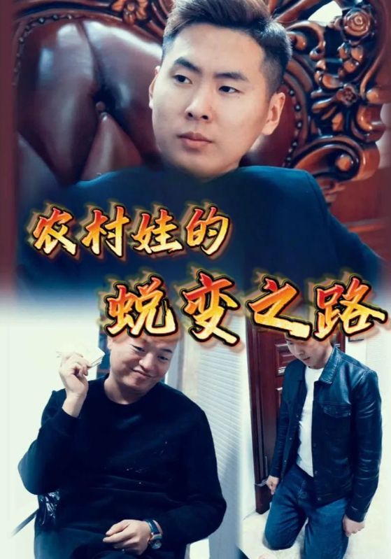 农村娃复仇记封面图