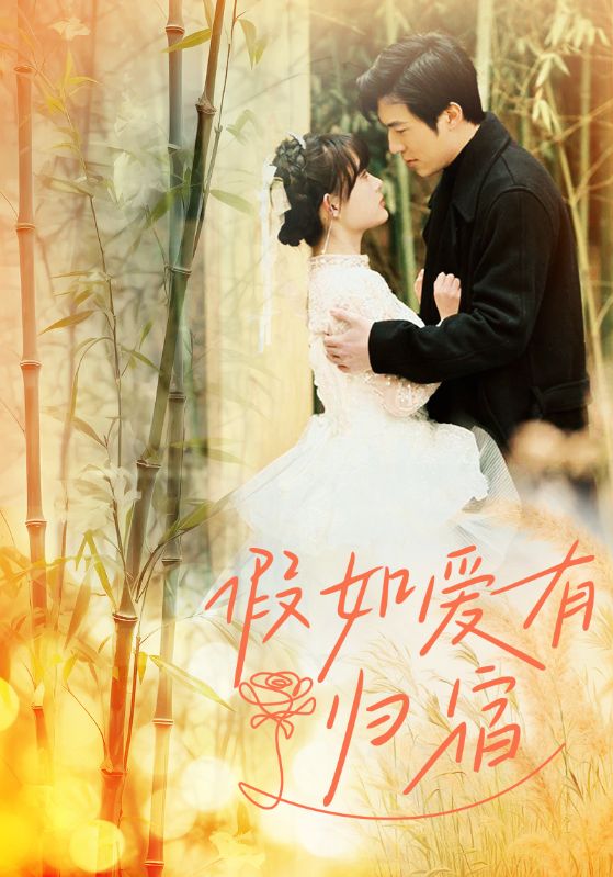 假如爱有归宿封面图