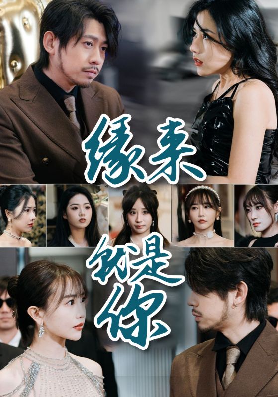 刚离婚，五个女神未婚妻倒追我封面图