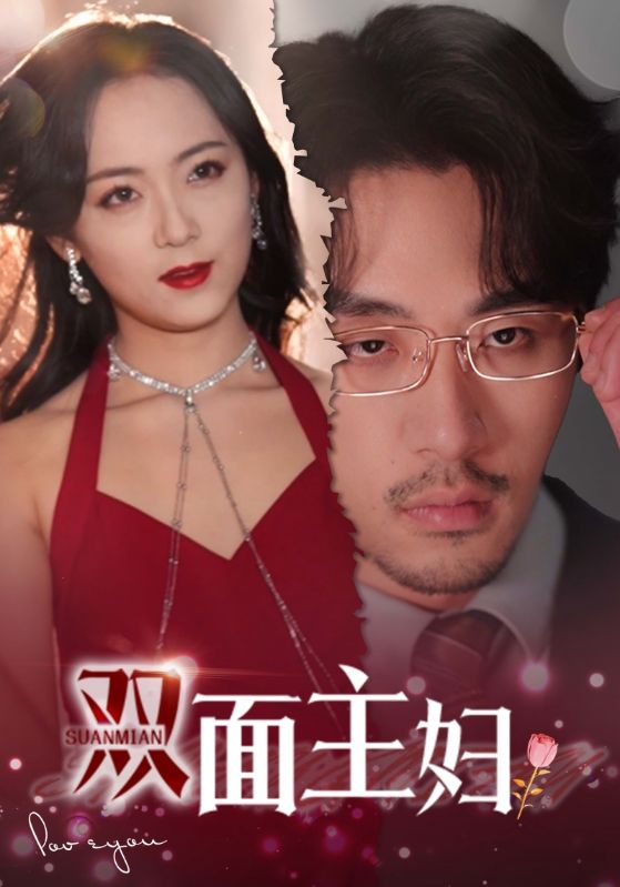 双面主妇封面图