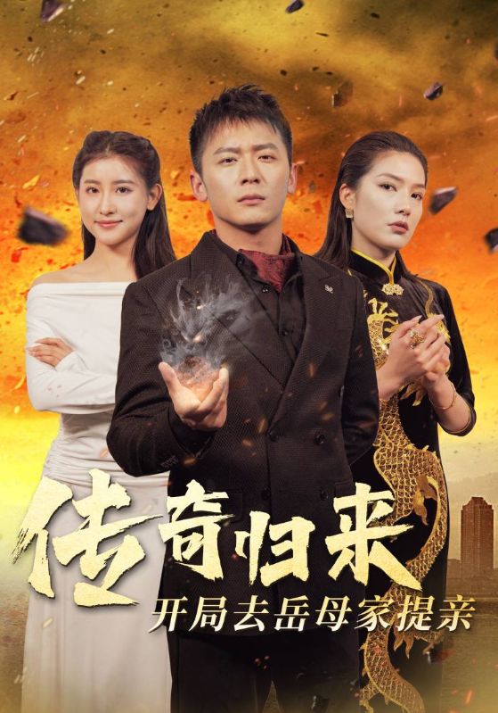 传奇归来开局去岳母家提亲封面图