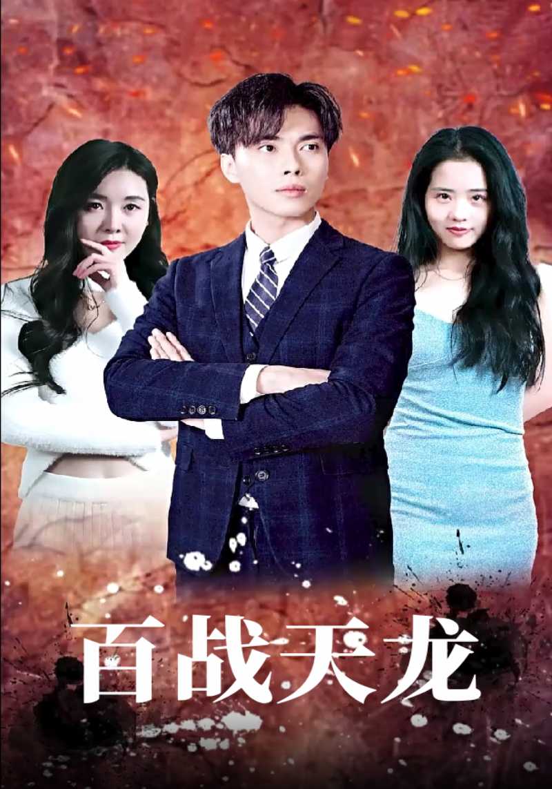 百战天龙封面图