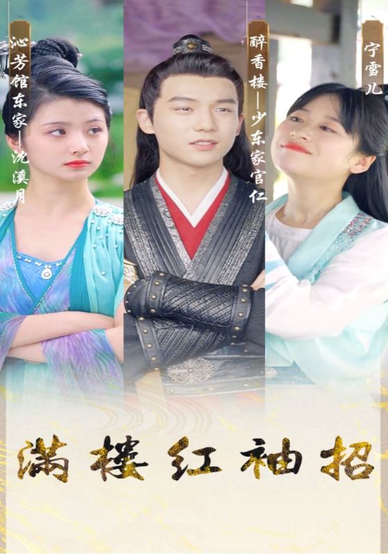 满楼红袖招封面图