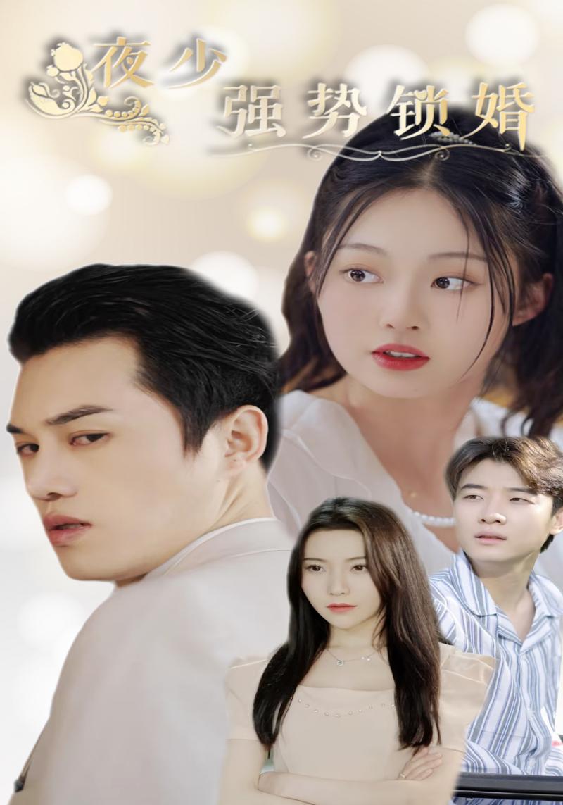 夜少强势锁婚封面图