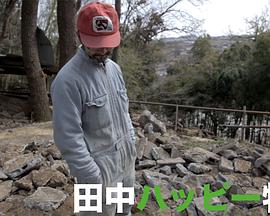 田中的开心农场封面图