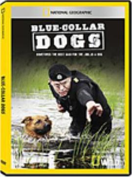 蓝领工作犬封面图