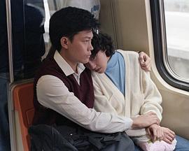 小说家族之真相封面图