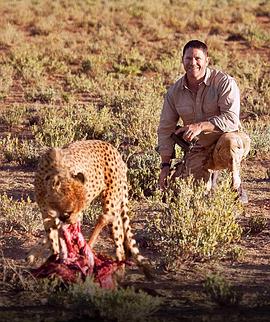 生灵物语—猛兽寻奇封面图