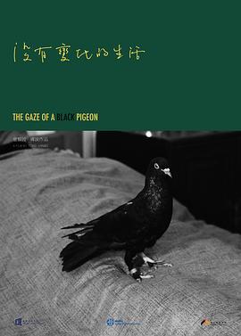 没有变化的生活封面图