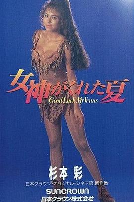 女神归来的夏天封面图