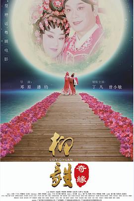 柳毅奇缘封面图