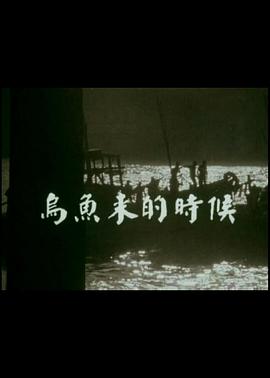 乌鱼来的时候封面图