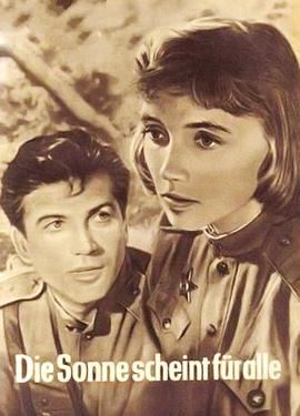 阳光普照封面图