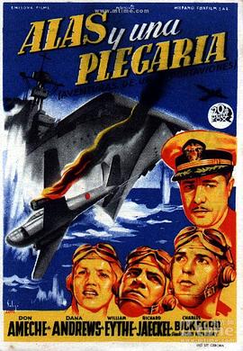 飞行之翼封面图