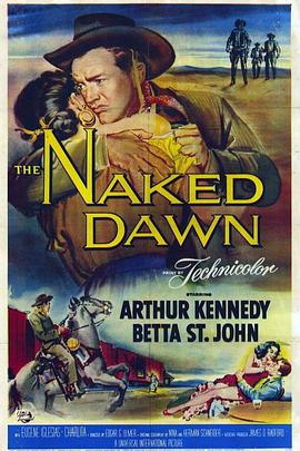 边城侠盗封面图