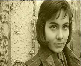 亚历山大·凯伊达诺夫斯基：潜行者之谜封面图