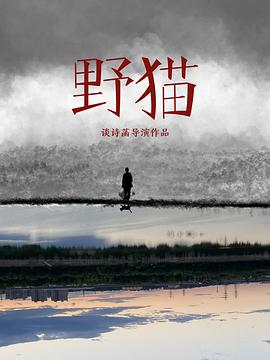 野猫封面图