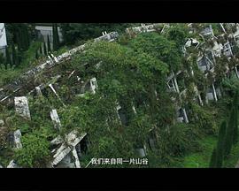 赵小康的广场舞封面图