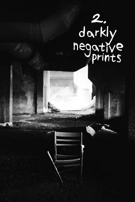 Darkly Negative Prints封面图