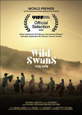 Wild Swans封面图